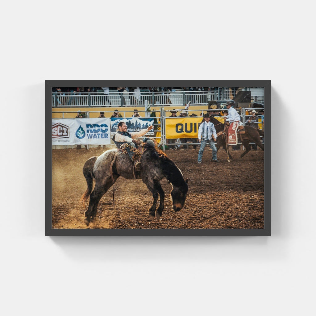 Rodeo Days II