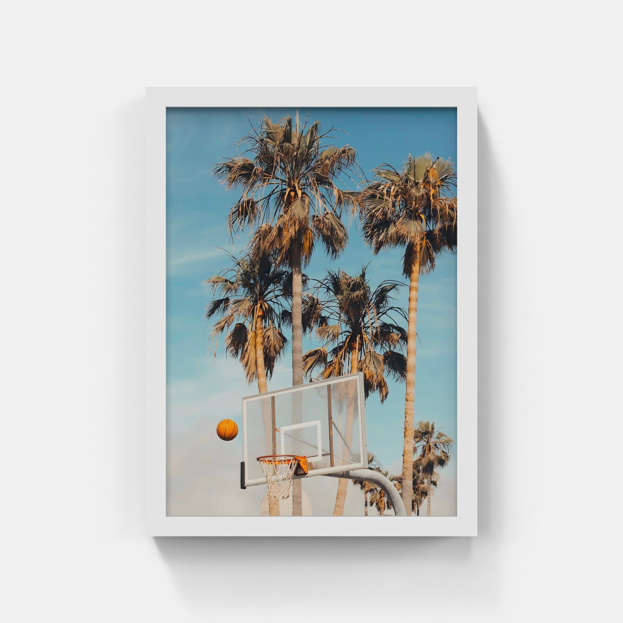 Hoops and Palm Trees