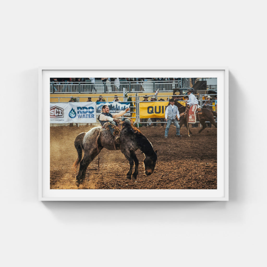 Rodeo Days II