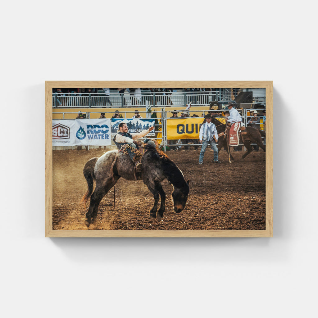 Rodeo Days II