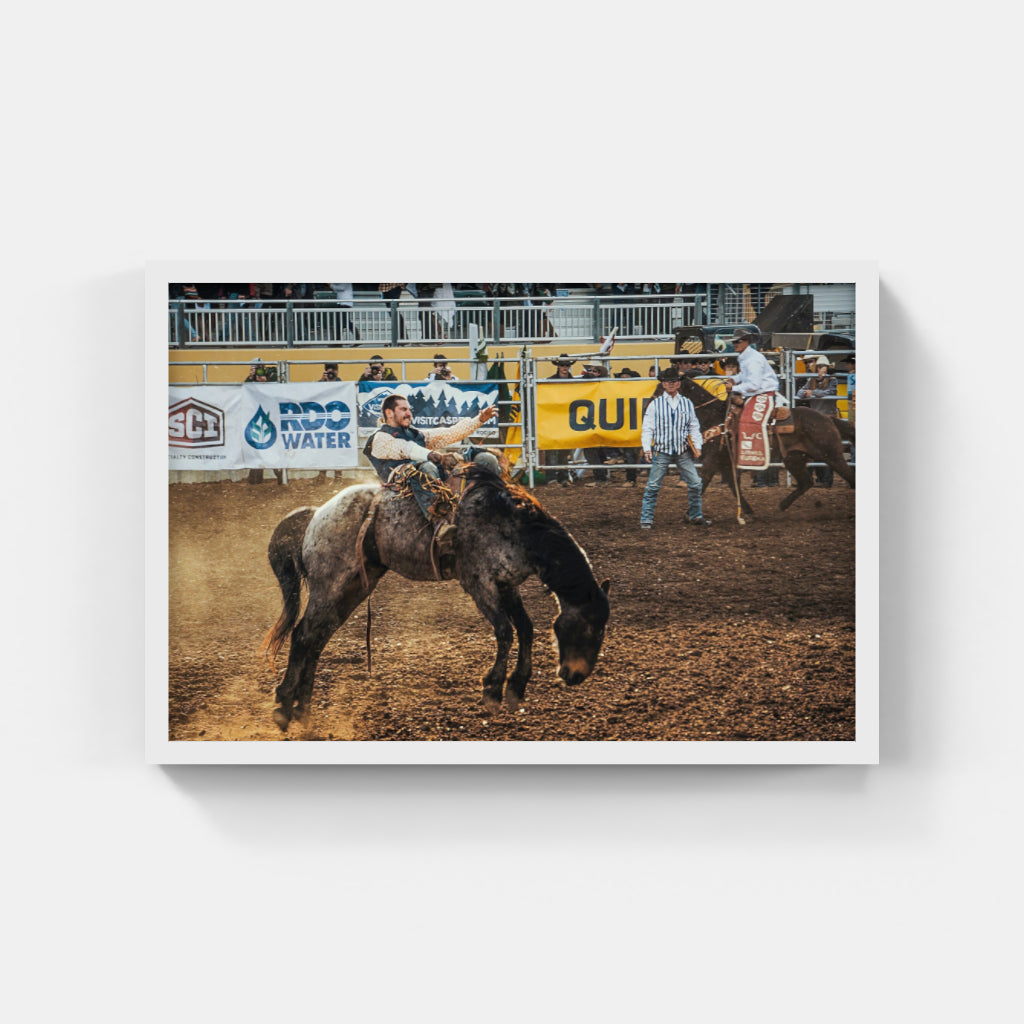 Rodeo Days II