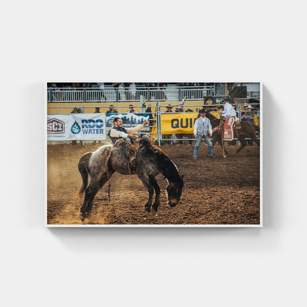 Rodeo Days II