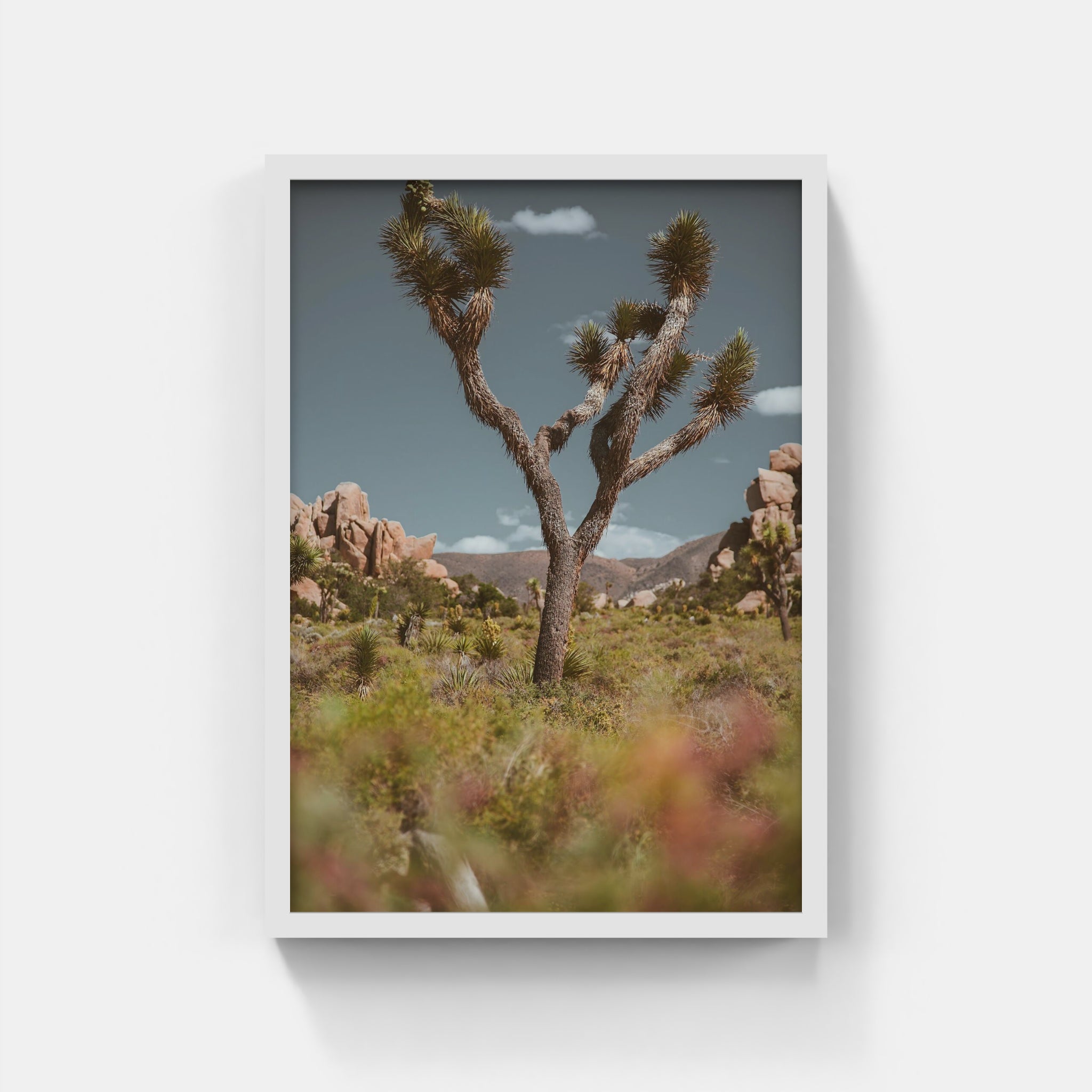 Desert Tree