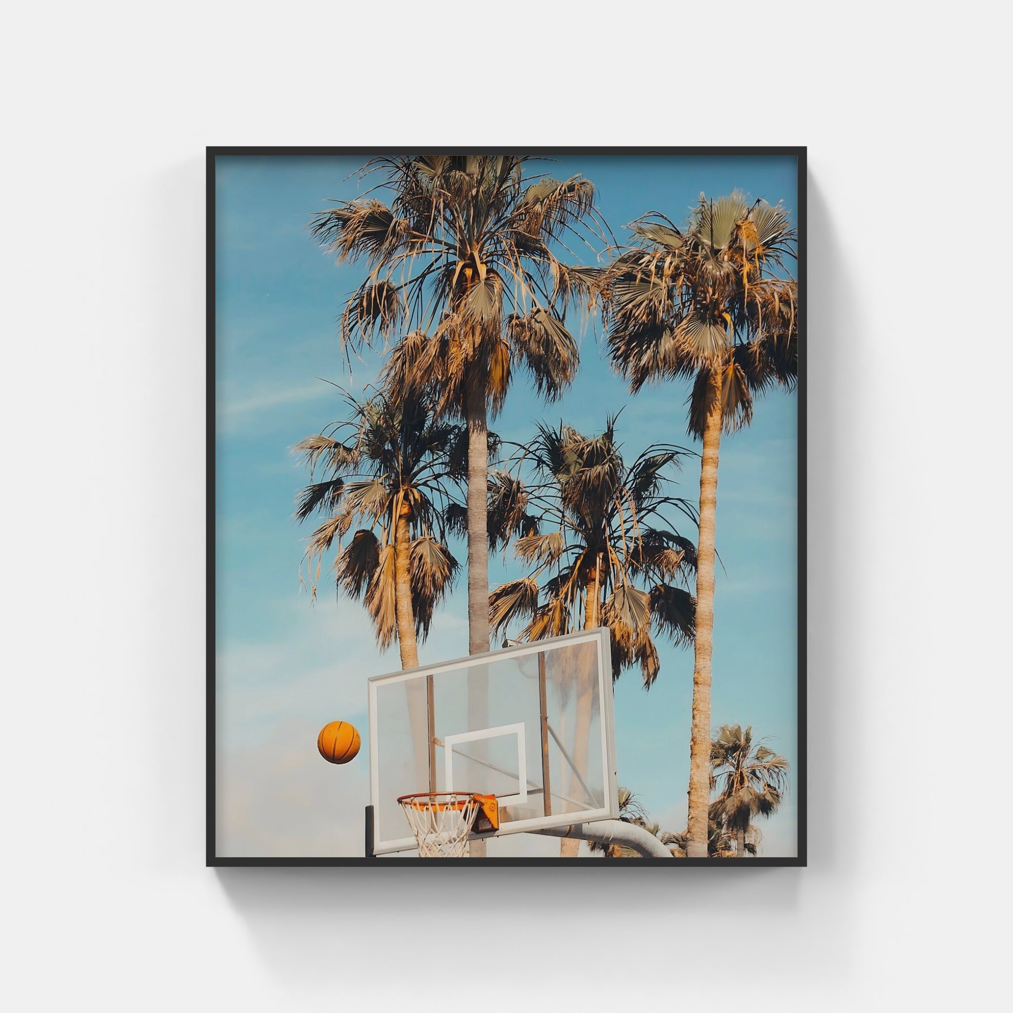 Hoops and Palm Trees