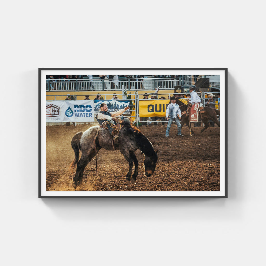 Rodeo Days II